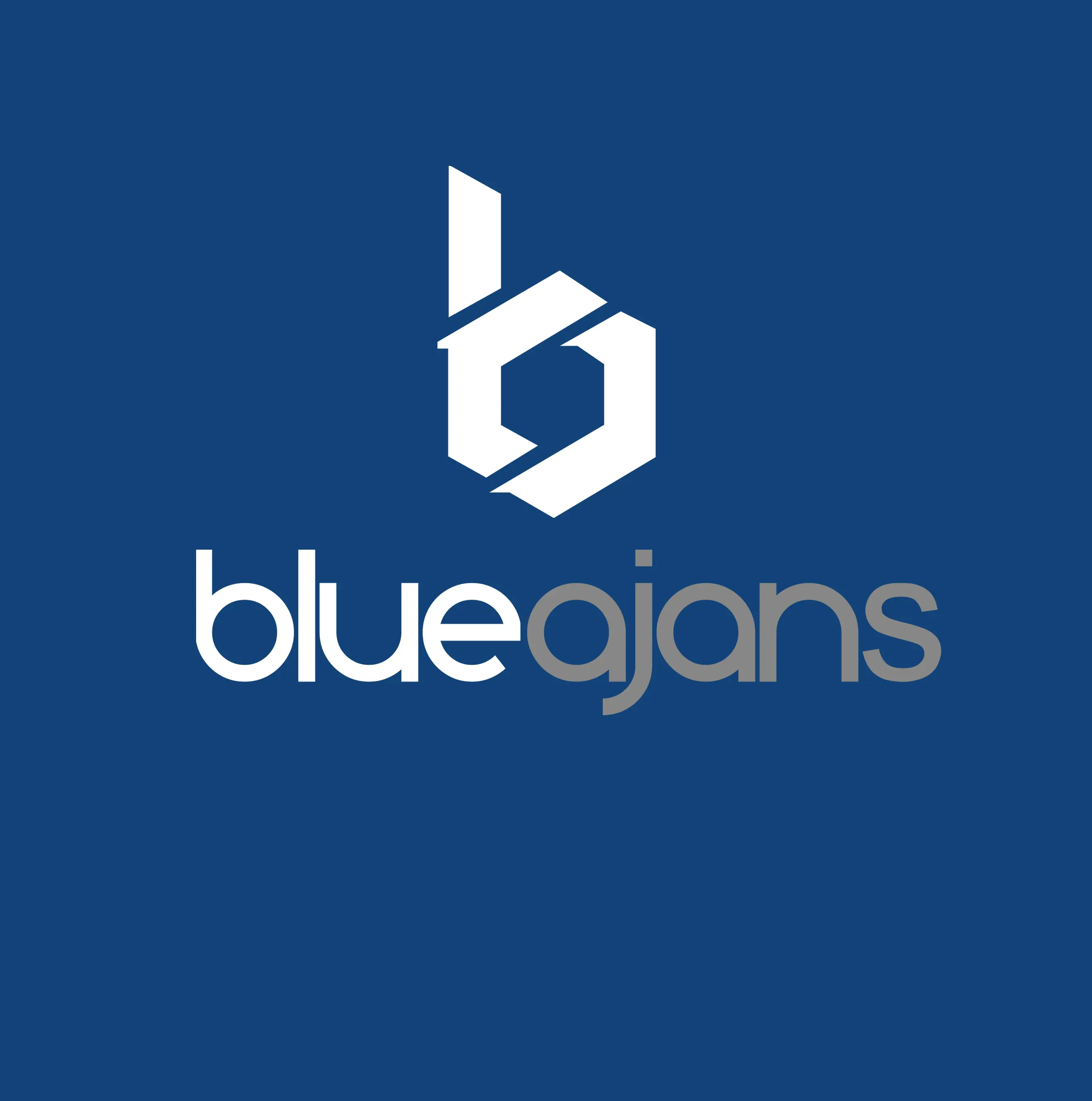 Blue Ajans - Hakkımızda